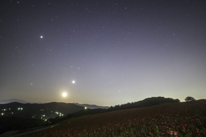 秩父高原牧場 星