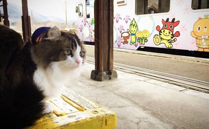 会津観光 芦ノ牧温泉駅