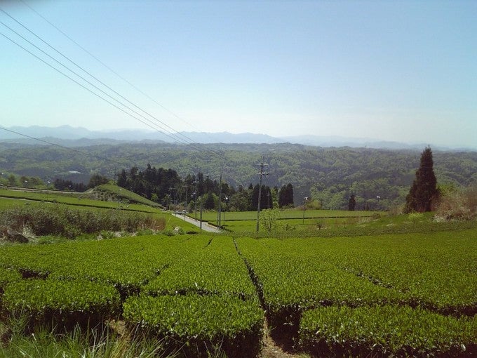 奈良県あるある 奈良