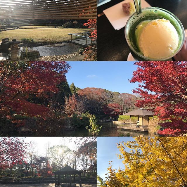 柏の葉公園 松柏亭 紅葉