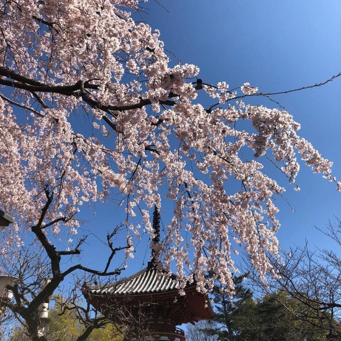 喜多院