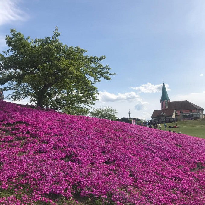 東京ドイツ村