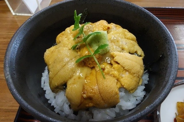 秋田 海鮮丼 龍宮館 ミニうに丼