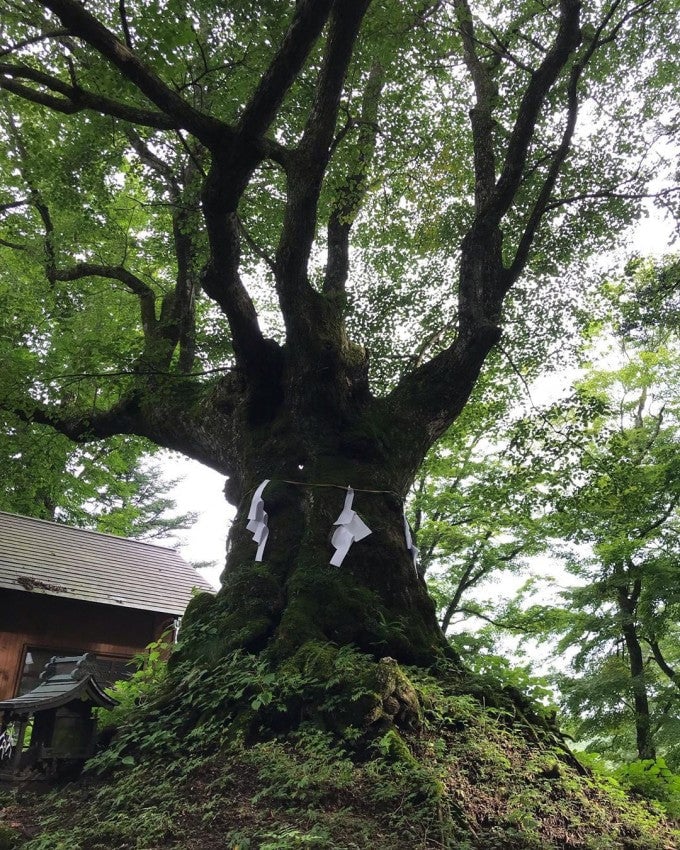 碓氷峠熊野神社