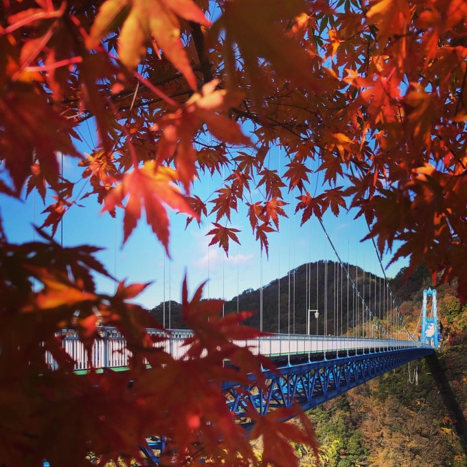 竜神大吊橋 紅葉