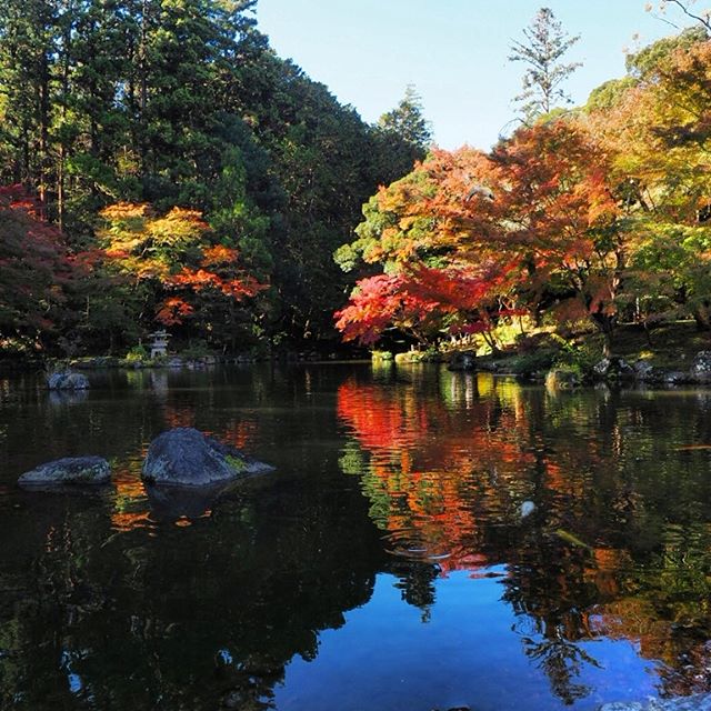 成田山 紅葉