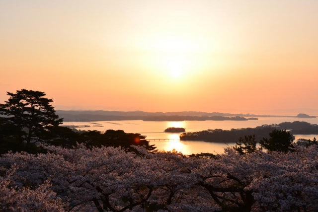 松島(松島)