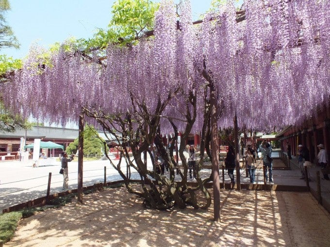 笠間稲荷神社
