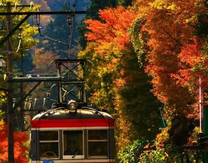 神奈川県でおすすめの紅葉スポットを厳選