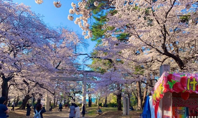 大宮公園