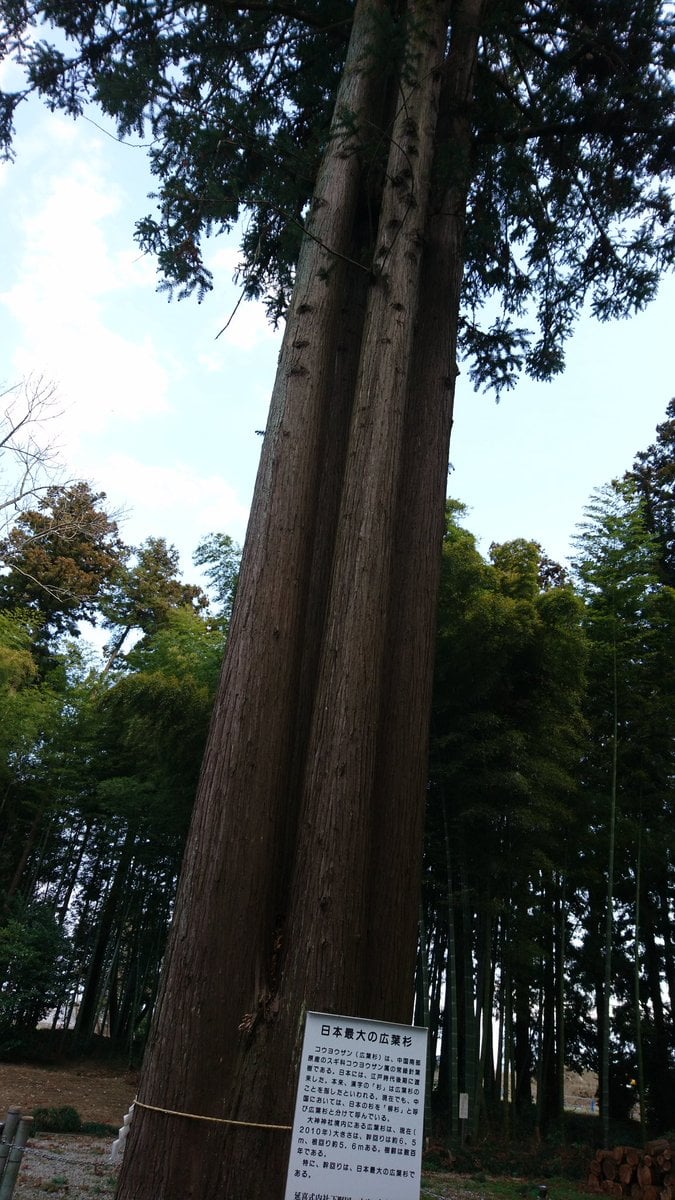 栃木市大神神社
