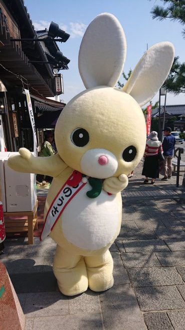 島根県 ゆるキャラ めのうさ