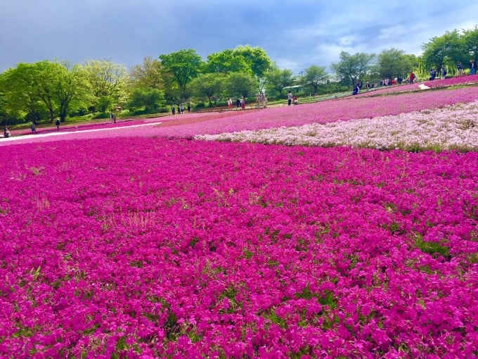 羊山公園