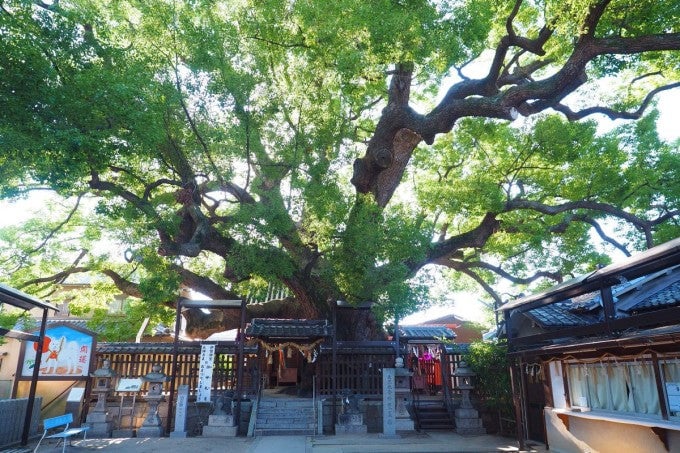 三島神社 大阪