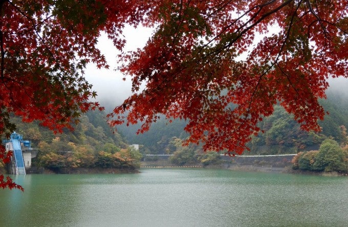 名栗湖 紅葉