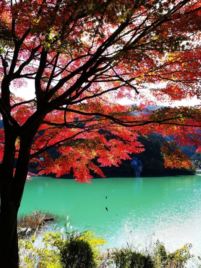名栗湖