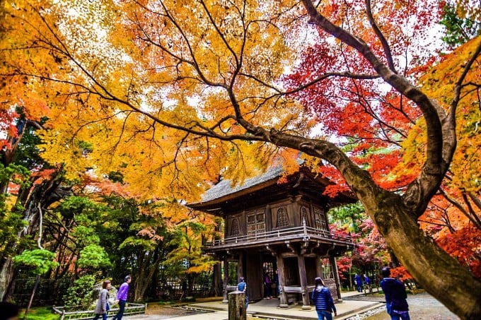 埼玉 平林寺 紅葉