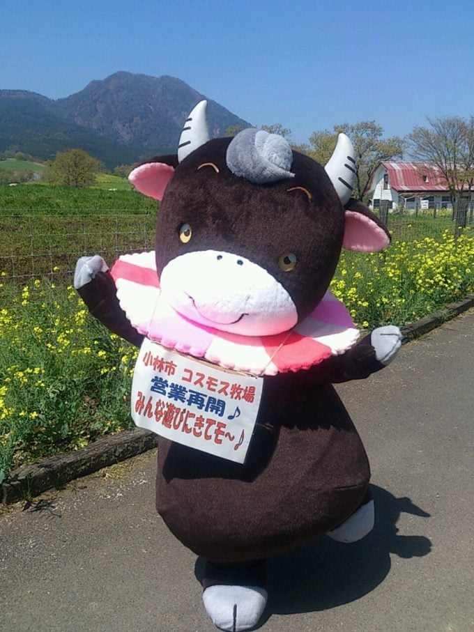 コスモー