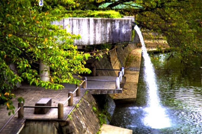 大垣市 観光スポット 養老公園