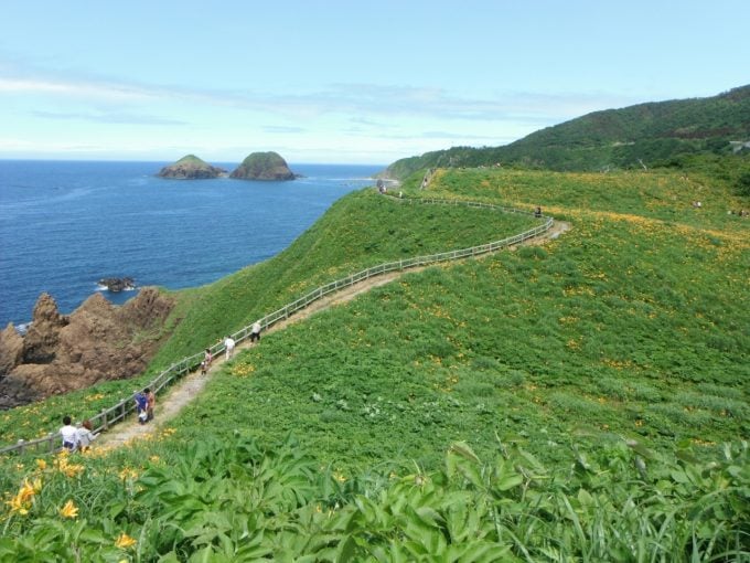 大野亀