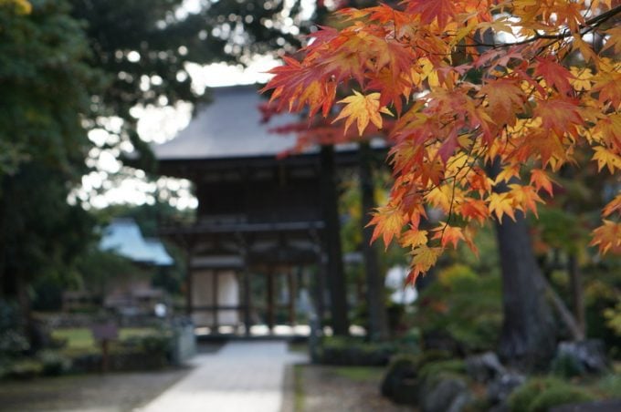 妙宣寺