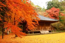 富貴寺