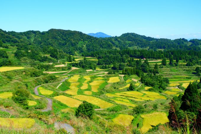 星峠の棚田