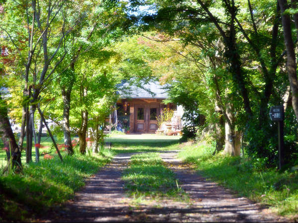熊本県 インスタ映え 森のアトリエ道