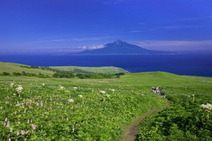 礼文島