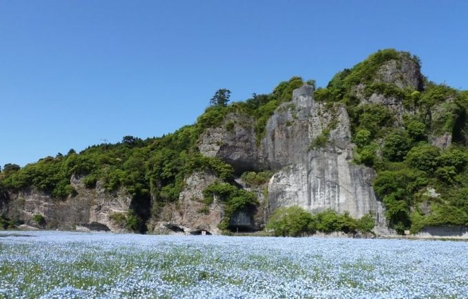 大分県 インスタ映え 競秀峰