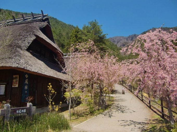 西湖いやしの里根場