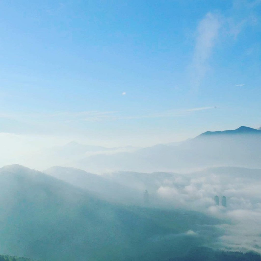雲海