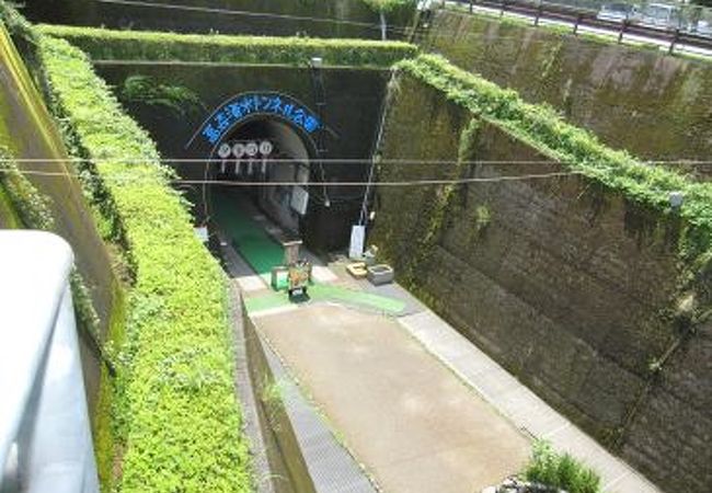 熊本県 インスタ映え 高森湧水トンネル入口