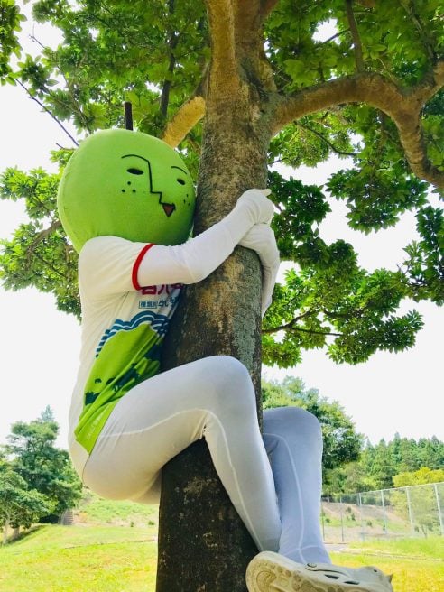 鳥取県 ゆるキャラ 二十世紀梨男