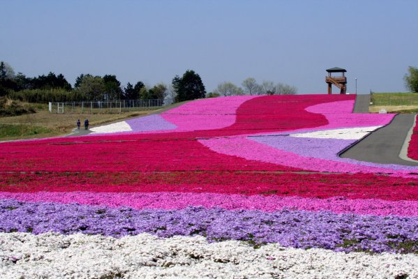 岩手県あるある 岩手あるある