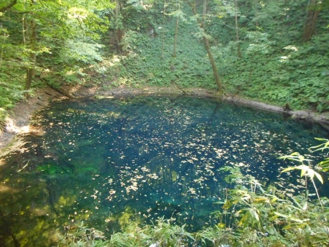 青森県 デート 白神の森 遊山道