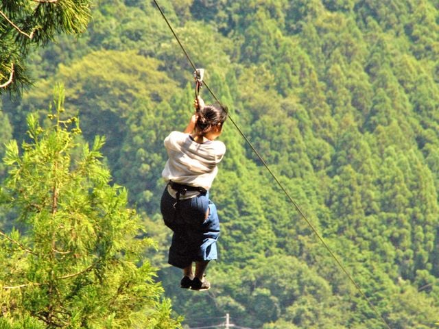 氷見カレー 富山 郷土料理