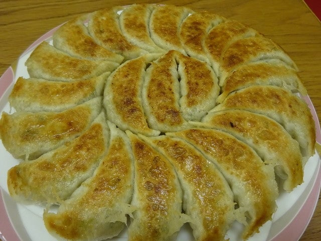おがた 円盤餃子
