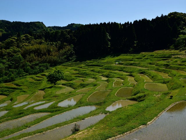 豊富(とよとみ)温泉