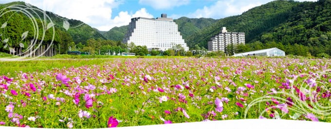猪苗代(いなわしろ)ハーブ園