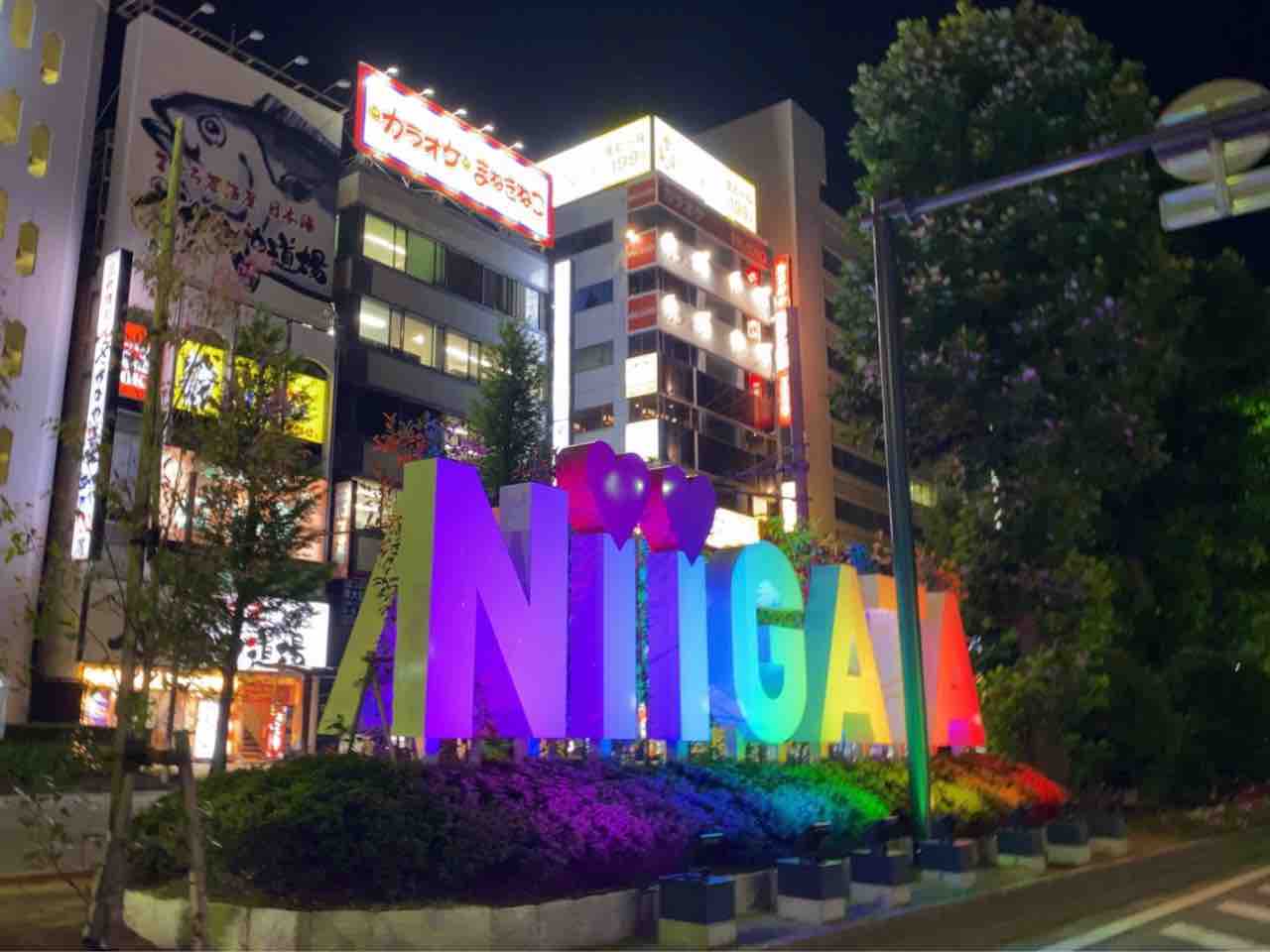 ＮＩＩＧＡＴＡ光のページェント2