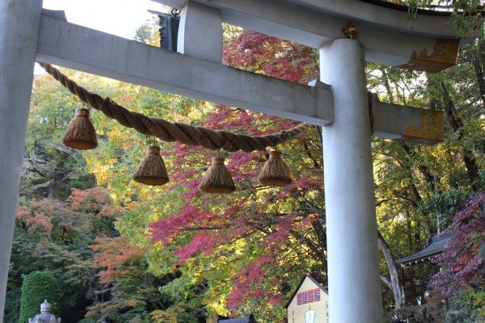 寳登山神社 紅葉