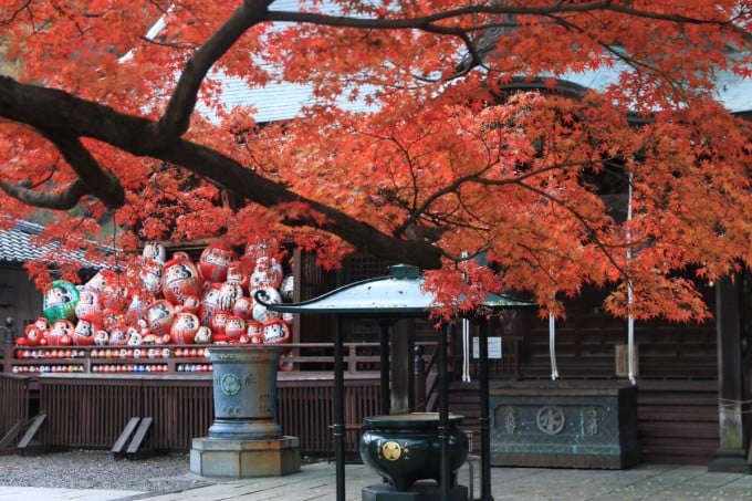 少林山達磨寺 紅葉
