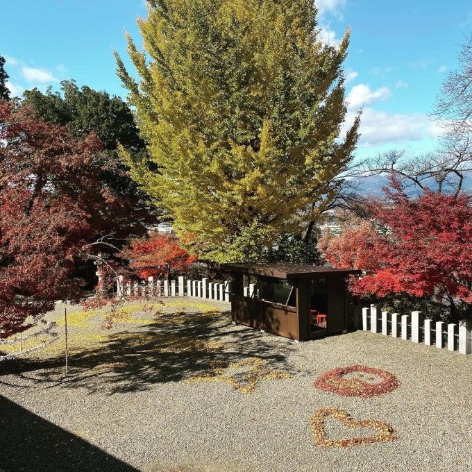 少林山達磨寺 紅葉