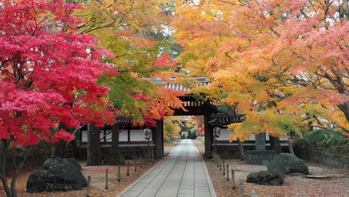 東漸寺 紅葉