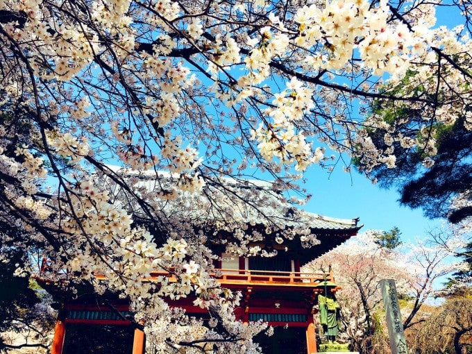 清水公園
