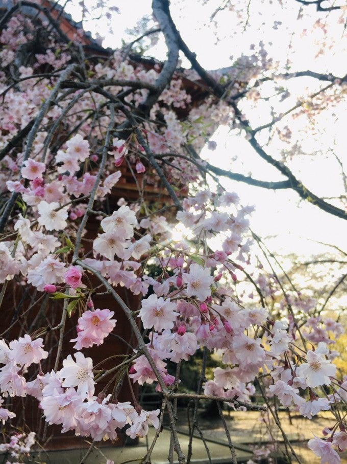 千葉 清水公園