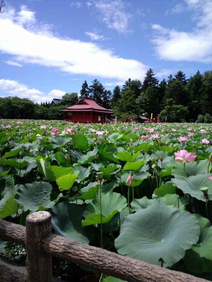 青森 パワースポット猿賀神社 平川市