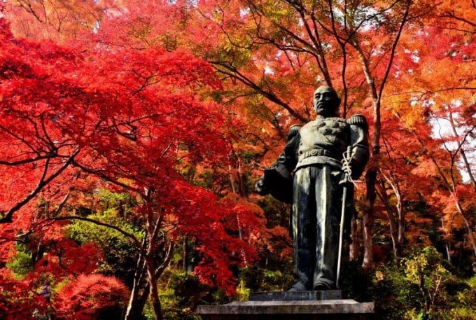 東郷公園 紅葉