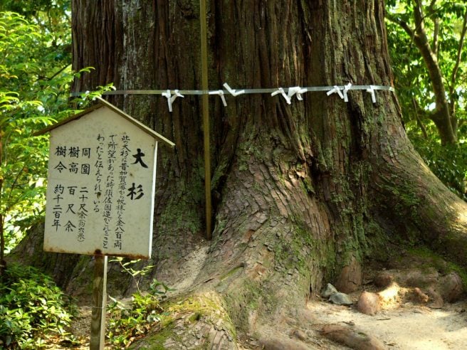 【島根県】開運間違いなし！ パワースポットとして知られる神社10選